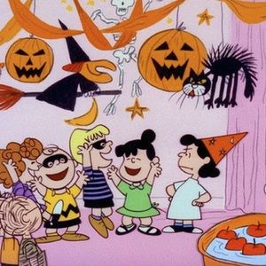 Meet your Posher, Sally